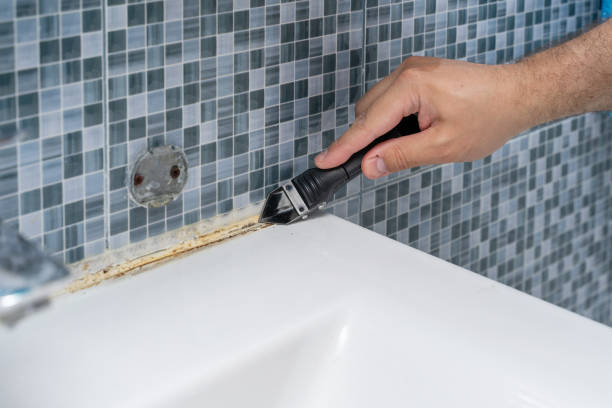 Best Local Mold Removal Service  in New Brunswick, NJ