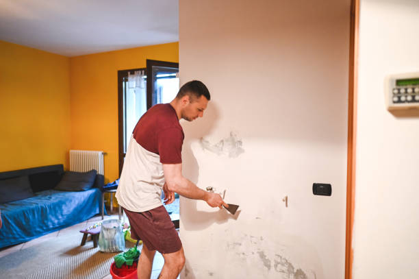Best Best Mold Removal Companies  in New Brunswick, NJ